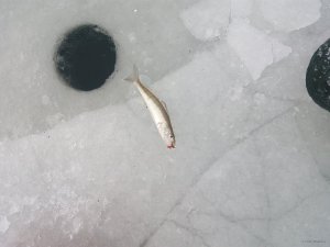 IMG_20181208_115816.jpg