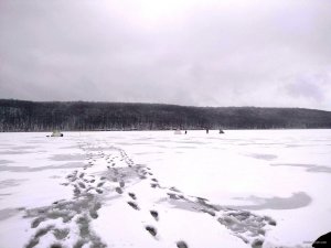 IMG_20181208_075305.jpg