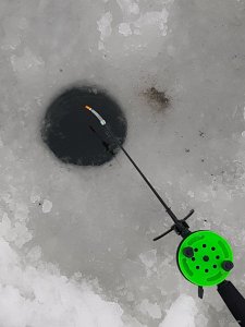 20181208_071640.jpg