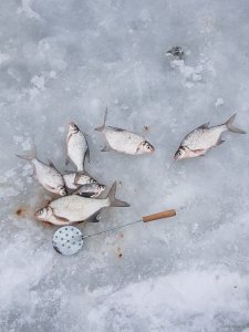 20181208_121420.jpg