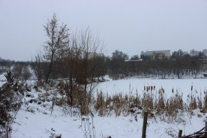 Рыбное место5.JPG