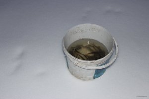 Рыбное место9а.JPG