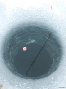 20181213_075219.jpg