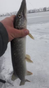 20181215_074134.jpg