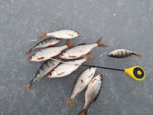 IMG_20181214_131429.jpg