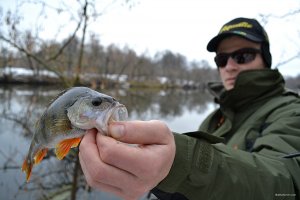 DSC_0535.JPG