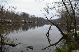 DSC_0527.JPG