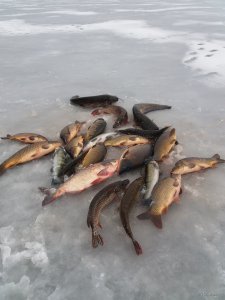 20181213_085452.jpg