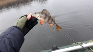 20181215_092436.jpg