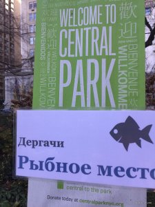 ХРФ 16.12.2018 2.jpg