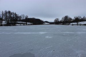 ХРФ 16.12.2018 4.JPG