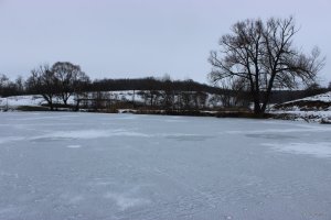 ХРФ 16.12.2018 5.JPG