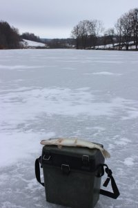 ХРФ 16.12.2018 8.JPG