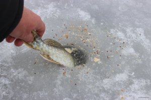 Catch & Release.JPG