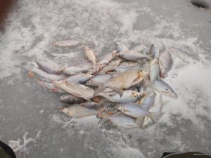 IMG_20181216_142011.jpg