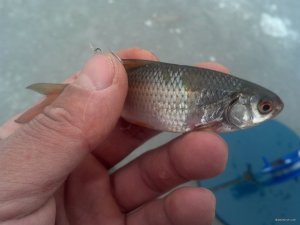 IMG_20181215_110903_955[1].jpg