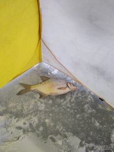 IMG_20181218_115854.jpg