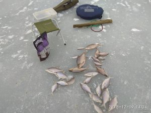 IMG_20181219_140414.jpg