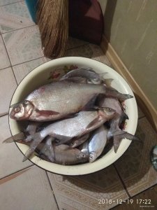 IMG_20181219_172239.jpg