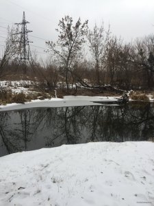 5714F0BA-8FE6-486D-A2E4-CC3BC455A672.jpeg