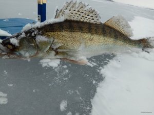 IMG_20181221_125648.jpg