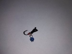 IMG_20181224_113039.jpg