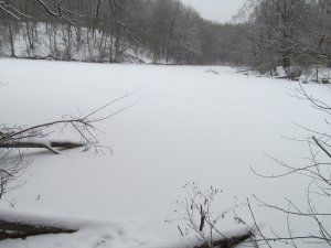 IMG_0242.JPG