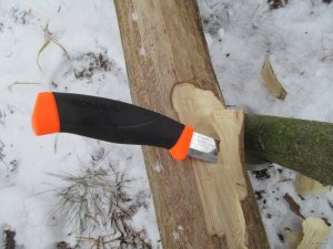 IMG_0302.JPG
