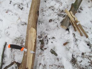 IMG_0303.JPG