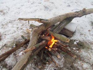 IMG_0310.JPG