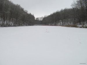 IMG_0322.JPG