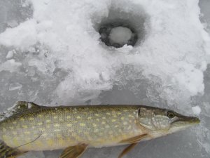 IMG_0328.JPG