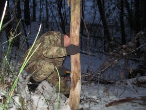 IMG_0347.JPG