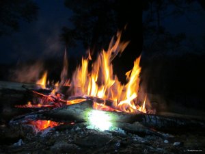 IMG_0348.JPG