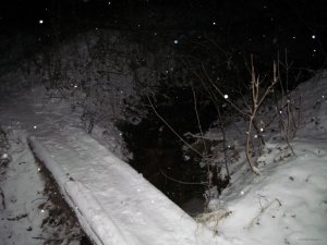 IMG_0453.JPG