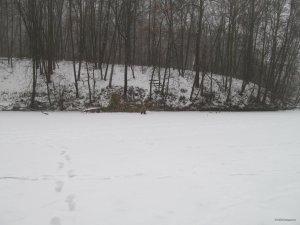 IMG_0539.JPG