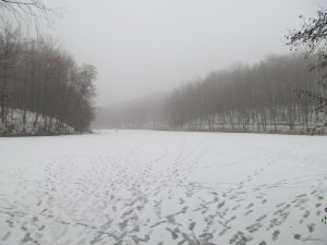 IMG_0546.JPG