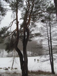 IMG_0564.JPG