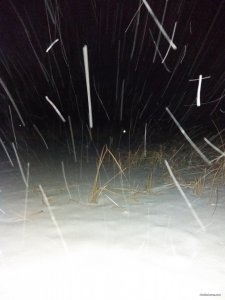 20181225_063205.jpg