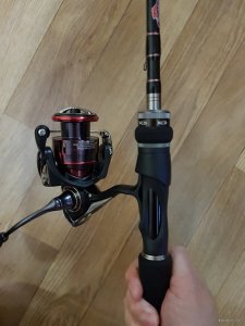 20181030_182659.jpg