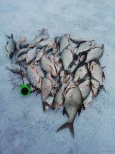 IMG_20181228_155556.jpg