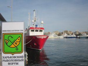 IMG_1082.JPG