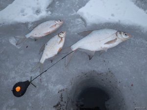 ветерок 012.jpg