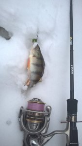 WP_20190103_11_37_50_Pro.jpg