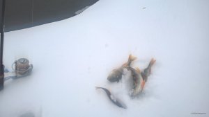 WP_20190103_13_00_55_Pro.jpg