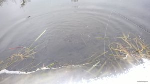 WP_20190103_13_36_09_Pro.jpg