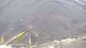 WP_20190103_13_36_21_Pro.jpg