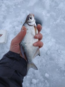 IMG_20190104_093650.jpg
