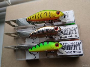IMG_20190102_130925.jpg