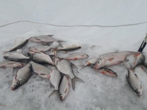 20190105_113614.jpg